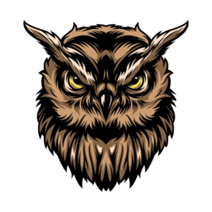 Owl Logo