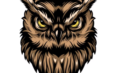 Owl Logo Wild Life Outdoor Adventure