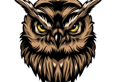 Owl Logo