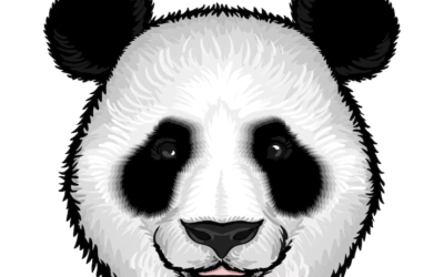 Panda Logo Panda Life Wandering Panda