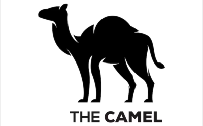 Camel Logo Camel Financial Inc Logo Sahara Desert Logo