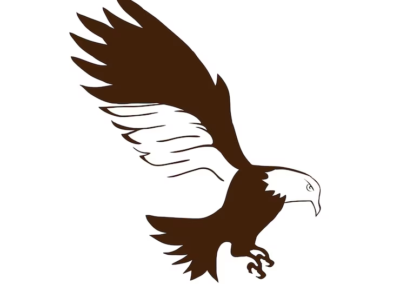 Hawk Logos