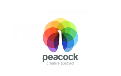 Colorful Logo Peacock Logo Colibri Logo Color Focus Logo