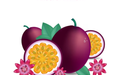 Fig Logo Passion Fruit Logo Plum Logo