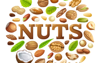 Peanut Logo Walnuts Organic Snack Logo Nuts Logo