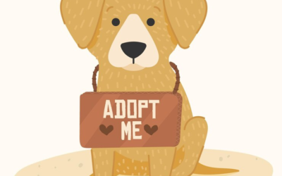 Adopt Me Logo Love Animals Logo World Adoption Day Logo