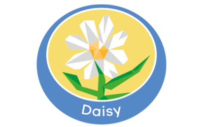 Daisy Logo Flowers Logo Floral Design Logo