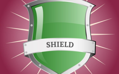 Logo Shield Shield Logo Premium Shield Logo Luxury Shield Logo