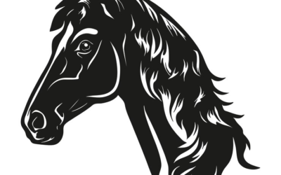 Black Horse Logo Horse Riding Logo Horse Racing Logo