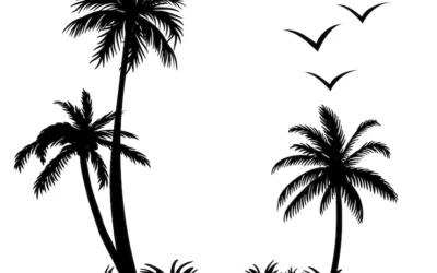 Palm Tree Logo Beach Logo Tropical Paradise Logo