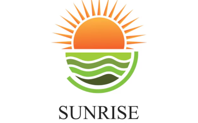 Logo Sunshine Sun Logo Sunrise Logo