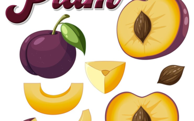 Peachy Logo Plum Logo Cider Logo